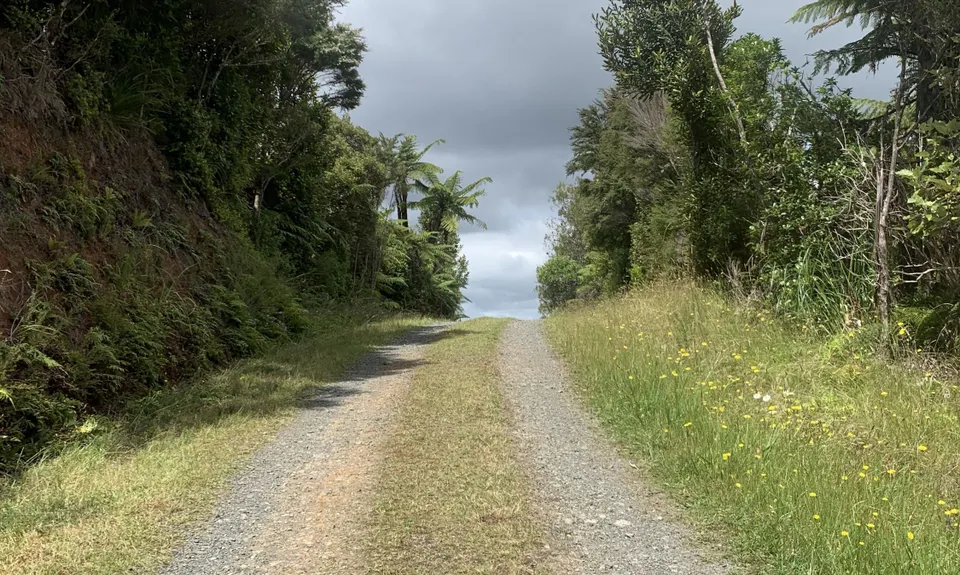 Ernie's loop, Auckland