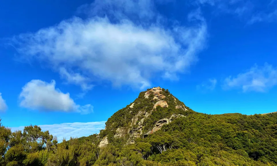 Trotters Trot, Otago