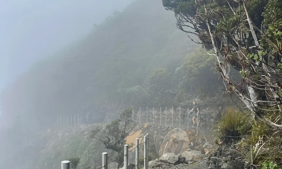 Paparoa Moonlight Marathon, West Coast