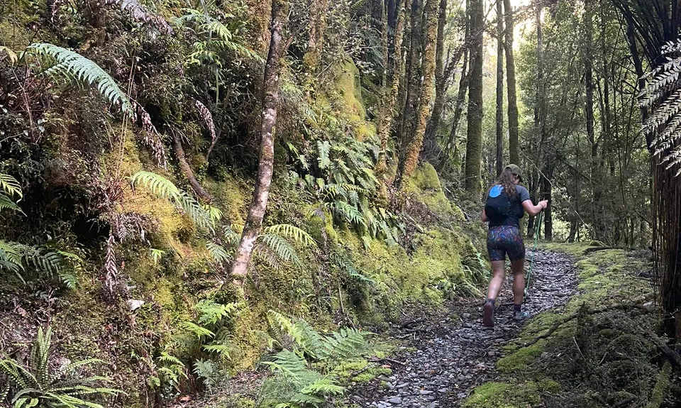 Paparoa Moonlight Marathon, West Coast