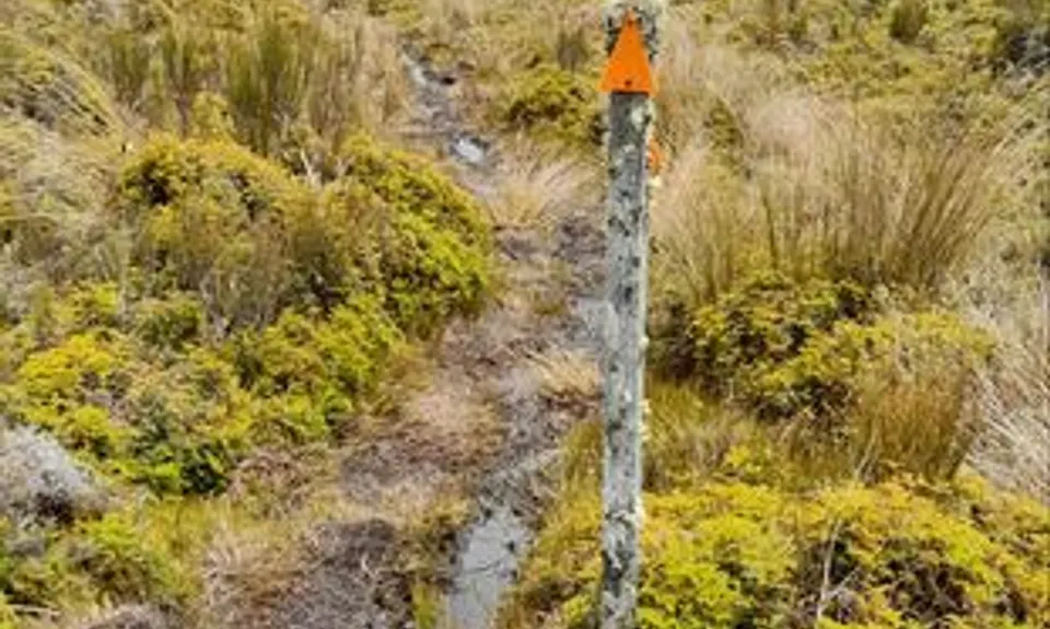 Mangahuia Meander, Manawatu - Wanganui