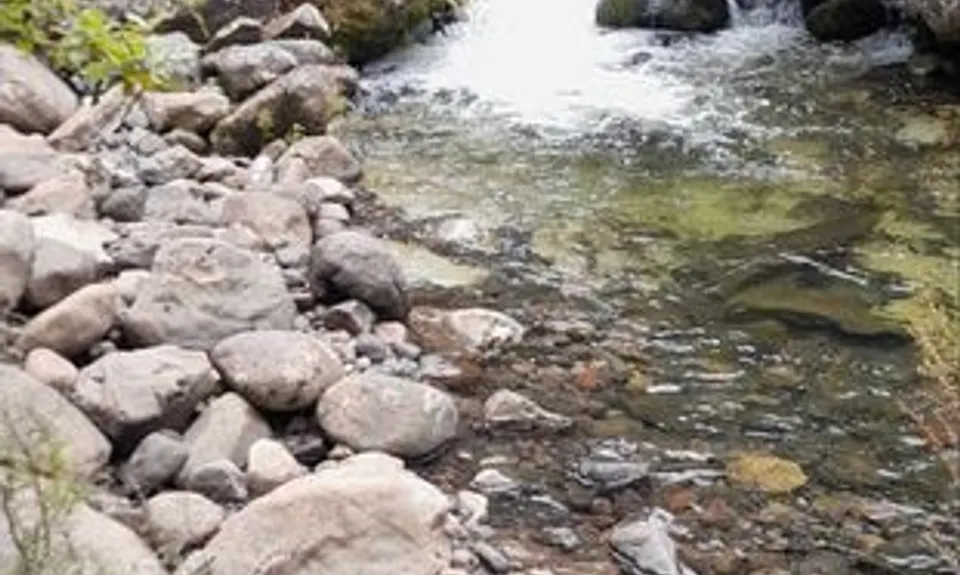Mangahuia Meander, Manawatu - Wanganui