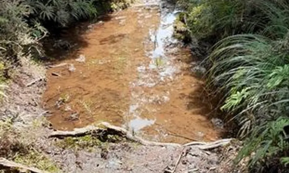 Mangahuia Meander, Manawatu - Wanganui