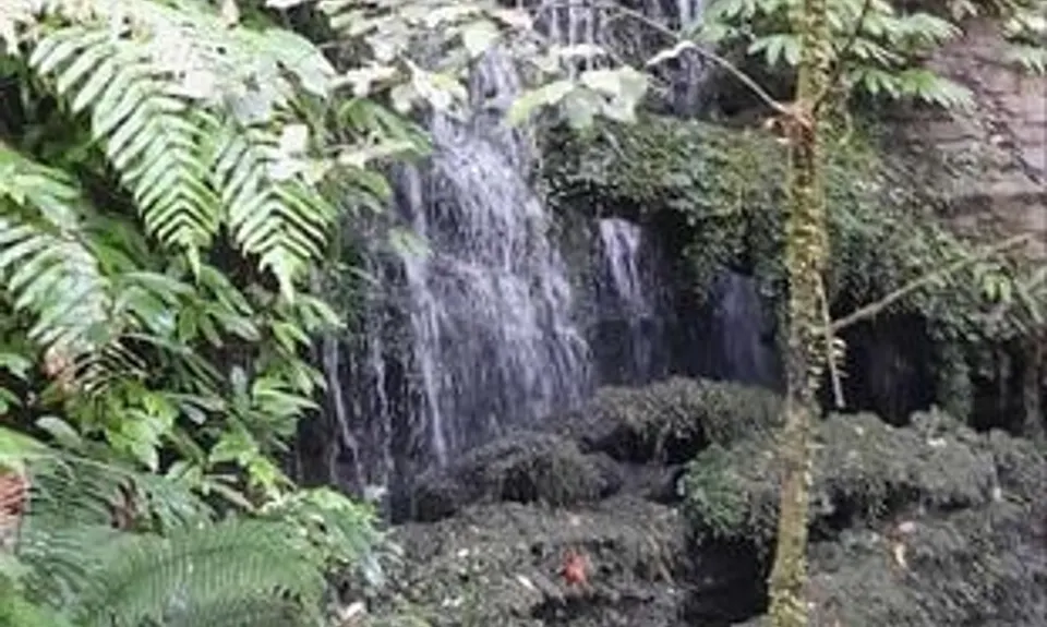 Tawarau Falls, Waikato
