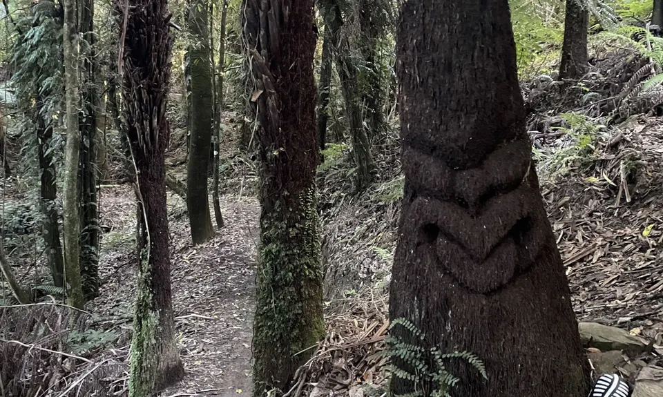 Colonial Knob - All the Hills, Wellington