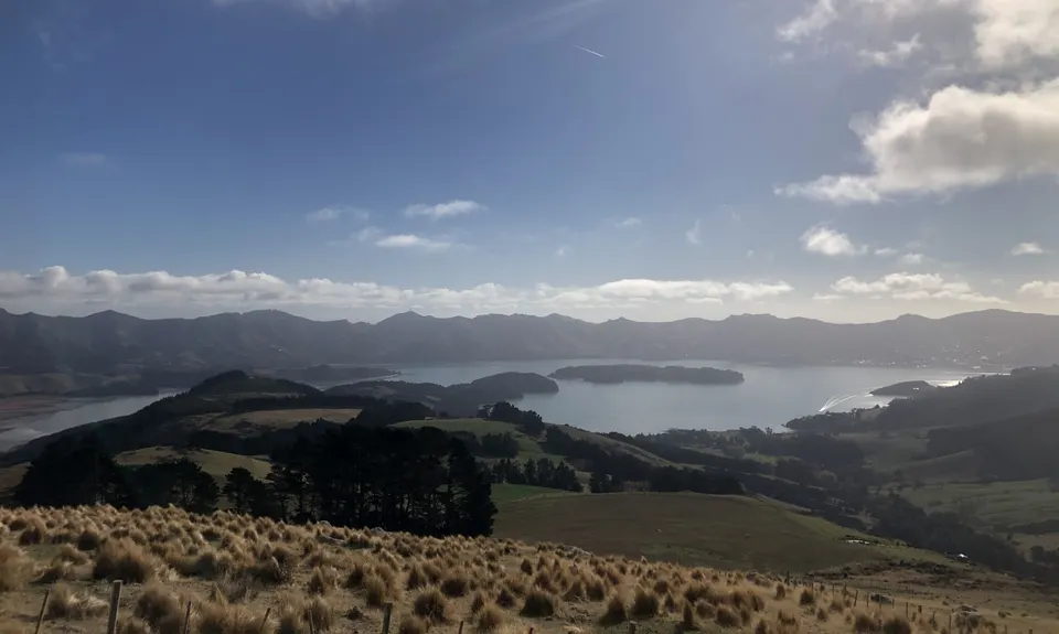 Double Top, Canterbury
