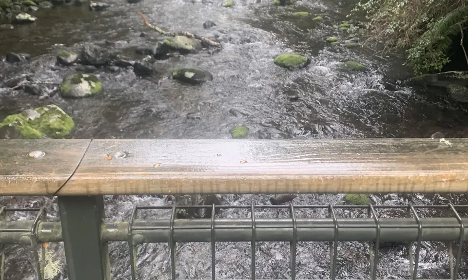 Ohakune Town/Forest Loop, Manawatu - Wanganui