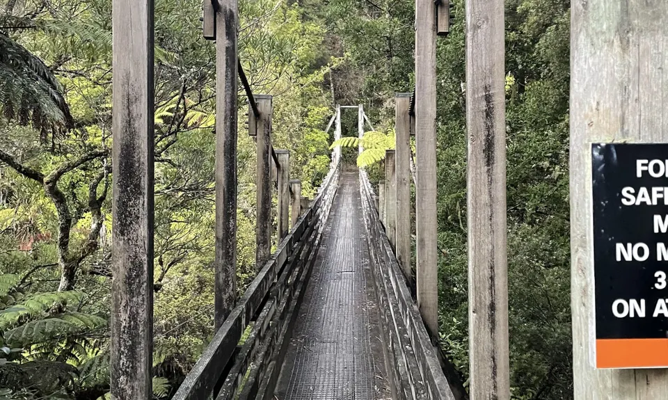 Wairoa Suspension Loop, Auckland