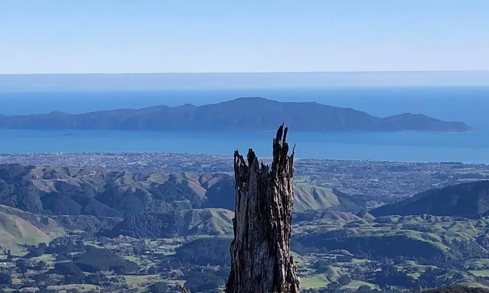 Kapakapanui Loop, Wellington