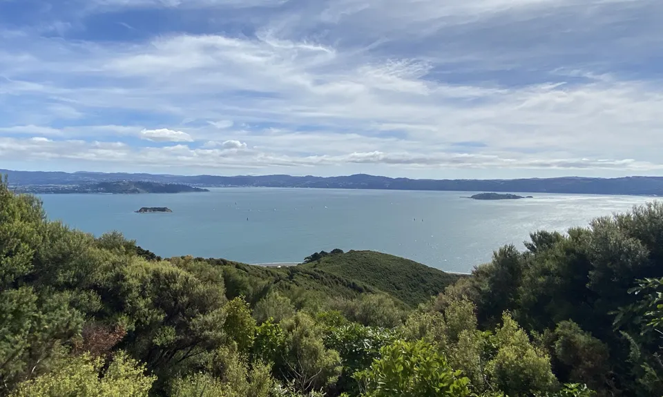 Eastbourne Ridge Loop, Wellington