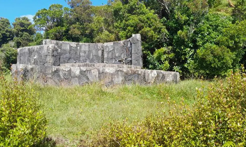 Pukeiti