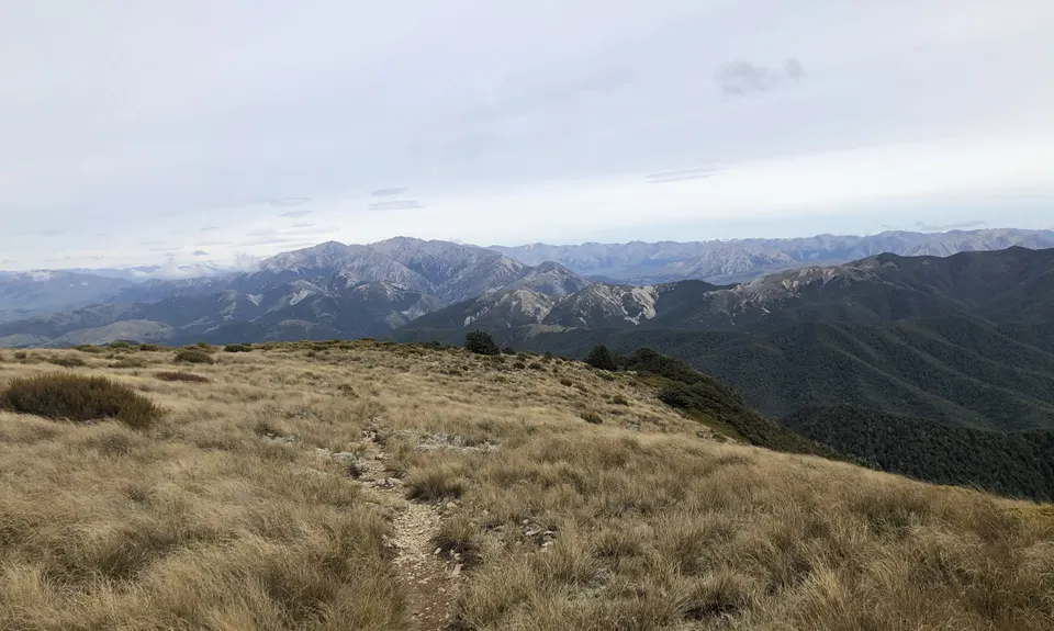Mt Oxford Half, Canterbury
