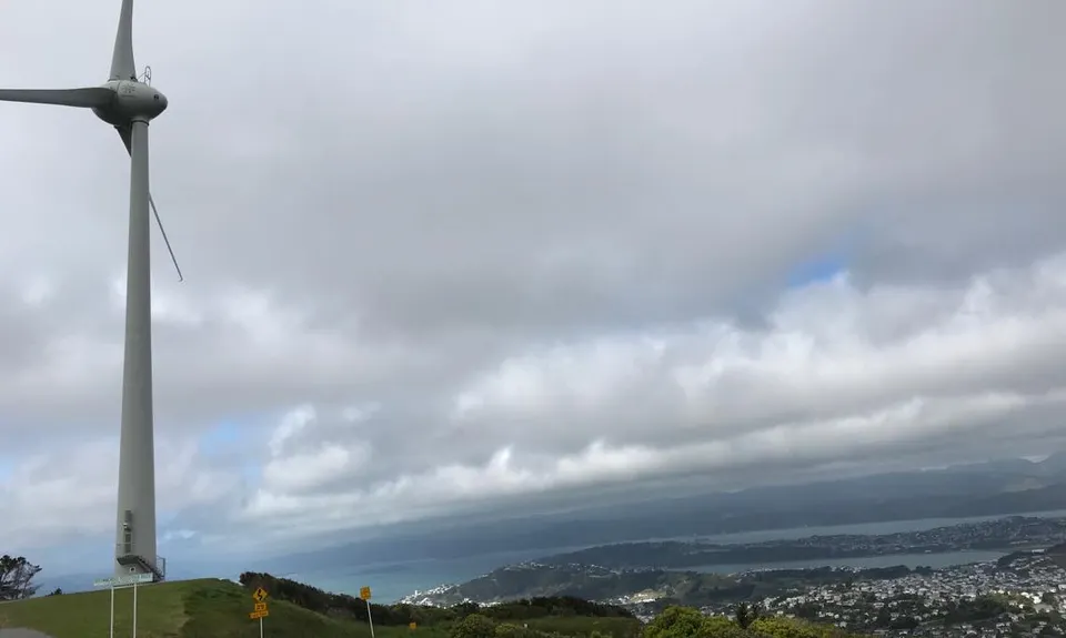 Barking Mad on Barking Emu, Wellington
