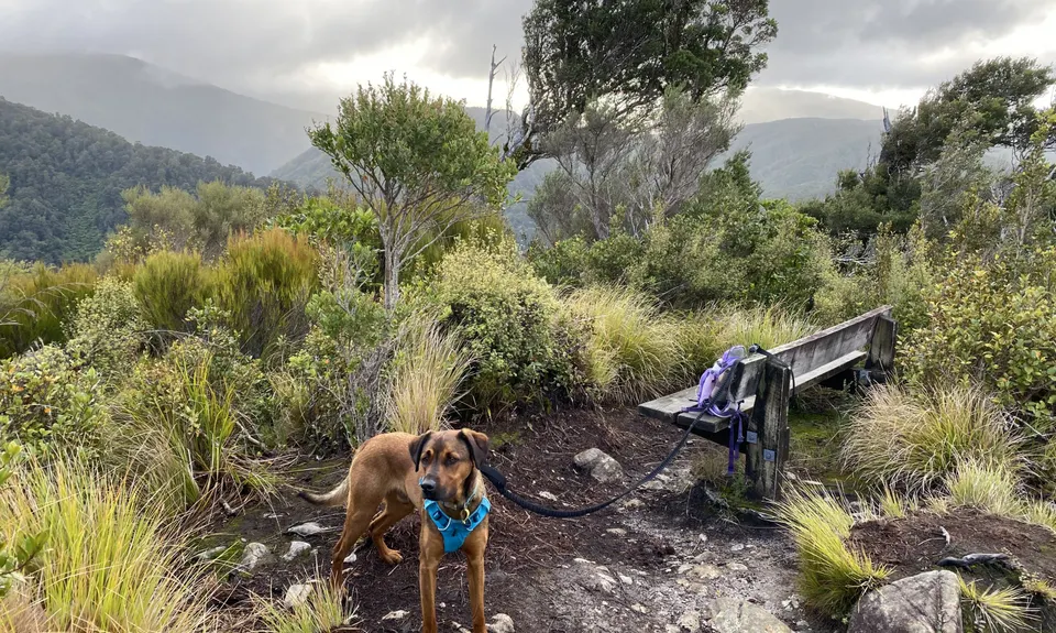 To Rivendell!, Wellington