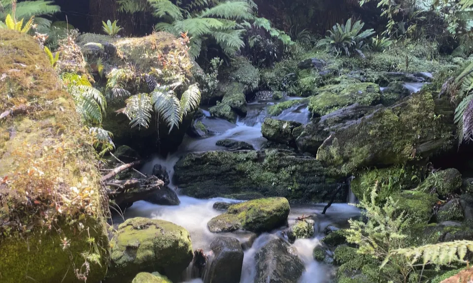 Tupapakurua Falls, Manawatu - Wanganui