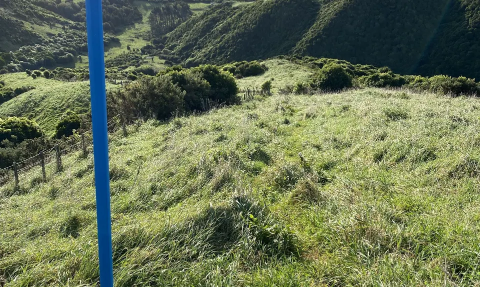 Whararoa Farm Steps, Wellington