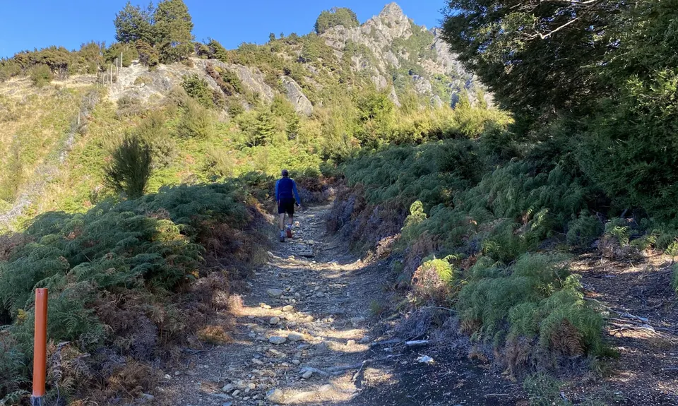 Isthmus Peak, Otago