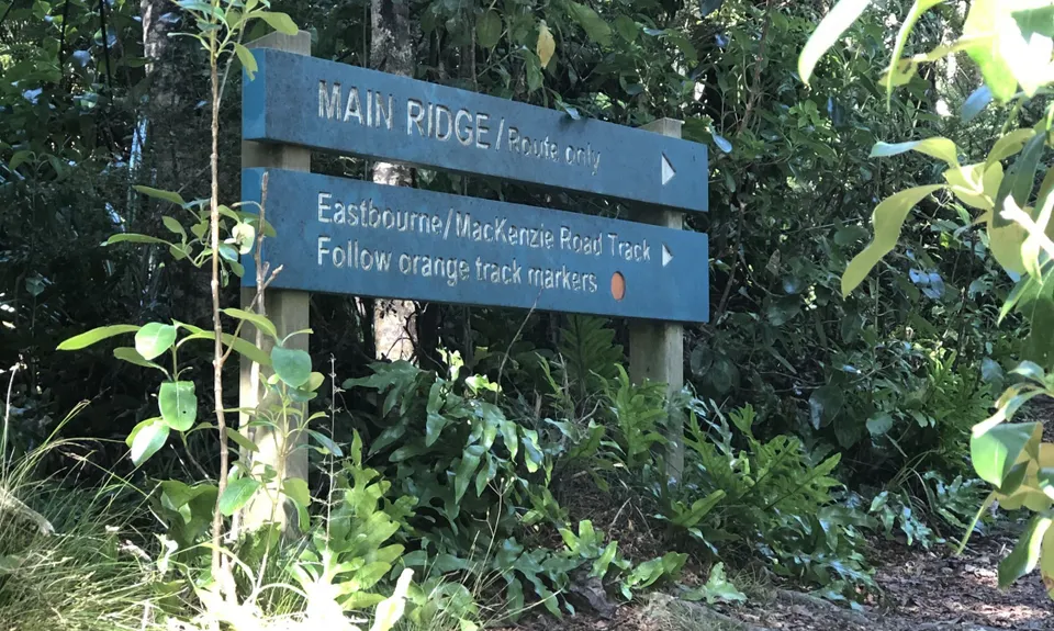 Eastbourne Ridge Loop, Wellington