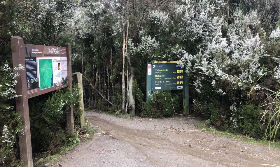 RTRC Club Track Loop, Bay of Plenty
