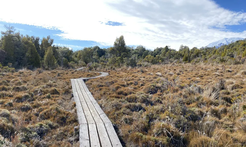 Whakapapanui Track, Manawatu - Wanganui
