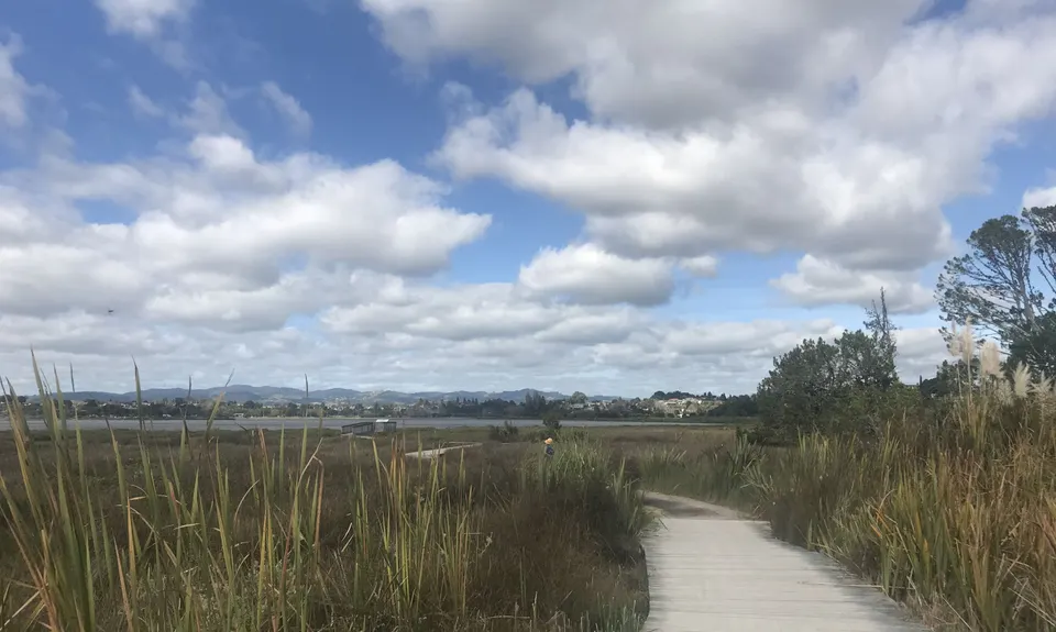 Daisy Hardwick Loop, Bay of Plenty