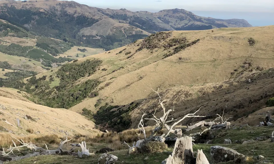 Okuti to Hilltop Amble, Canterbury
