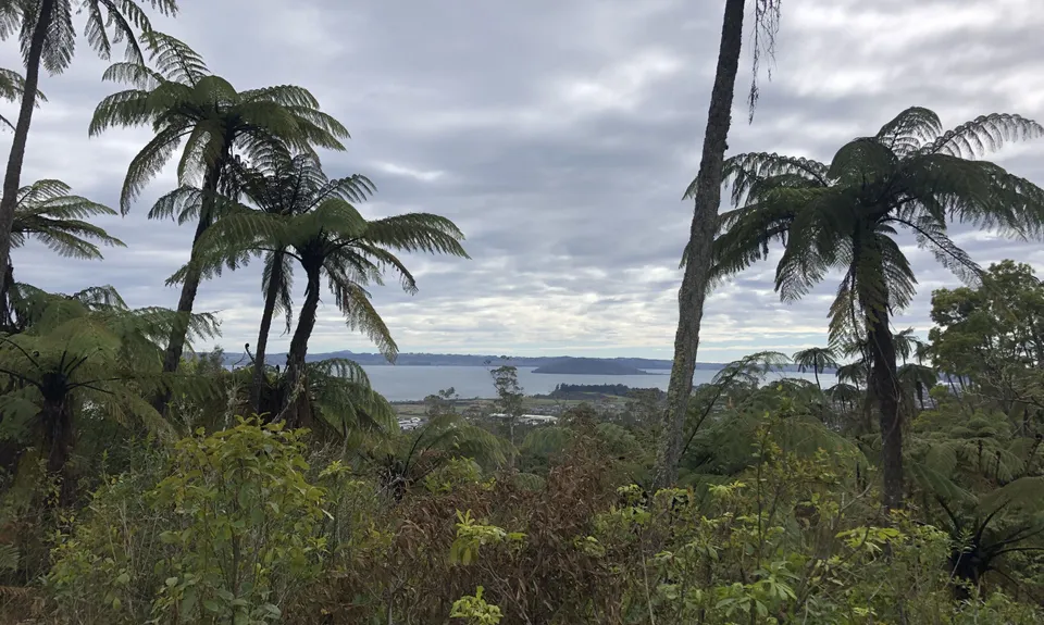 Tokorangi Pa Track, Bay of Plenty