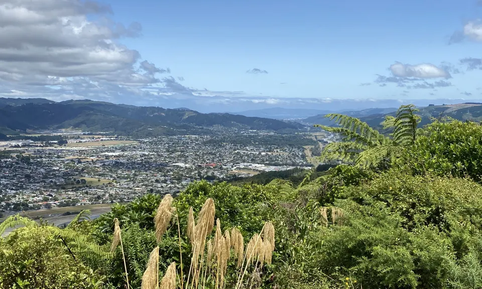 Cannon Point Trig via Zig Zag, Wellington
