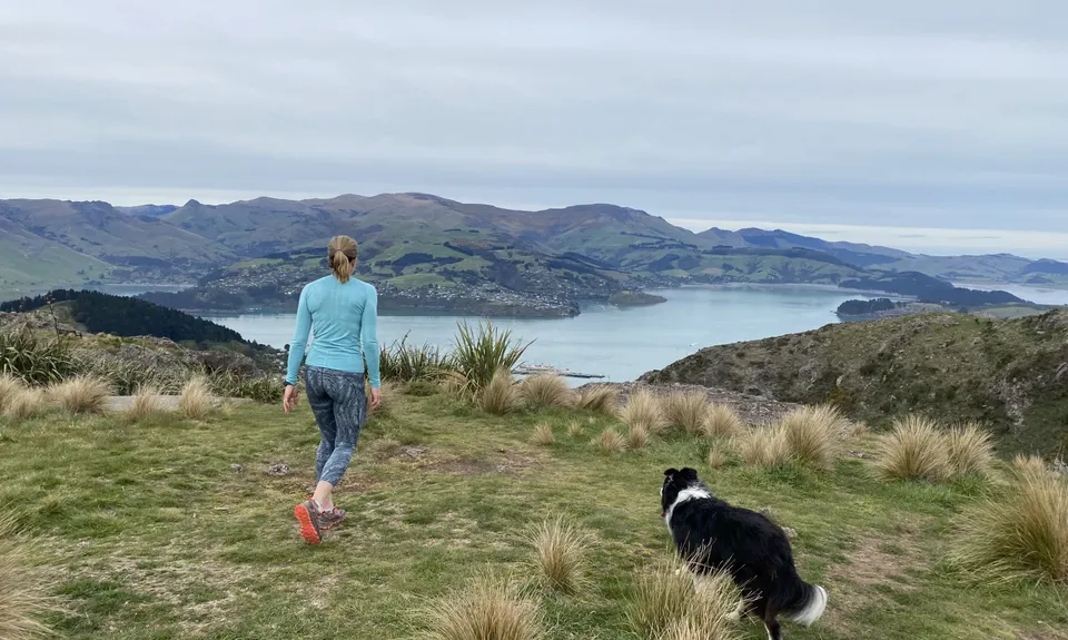 Lyttelton Semi-Circle, Canterbury