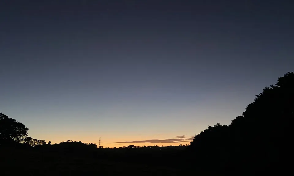 Totara Park Track, Auckland