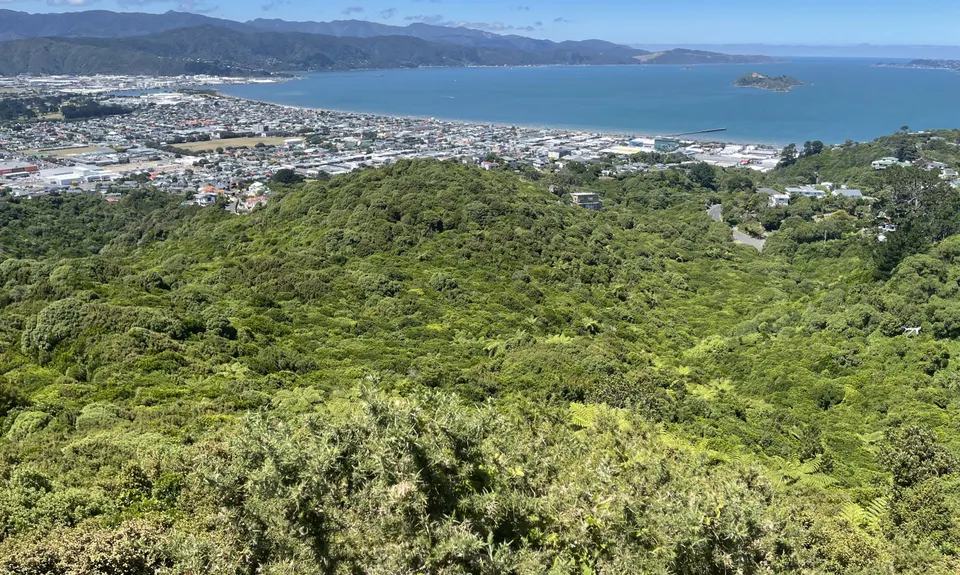 Sugarloaf and Waterfalls Loop, Wellington