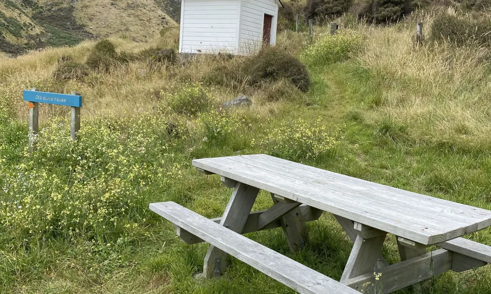Baring It All, Wellington