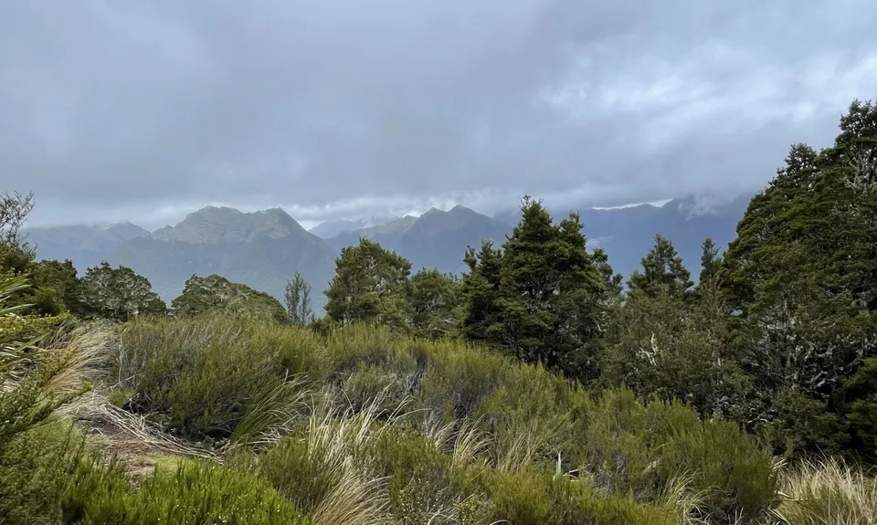 Mt Haast views of the world!, West Coast
