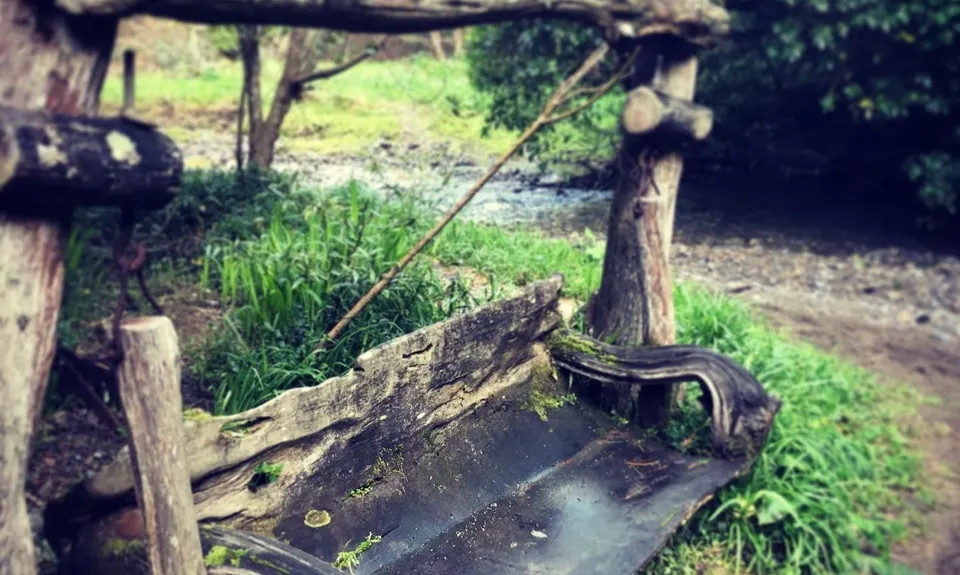 Swing Into Action, Wellington