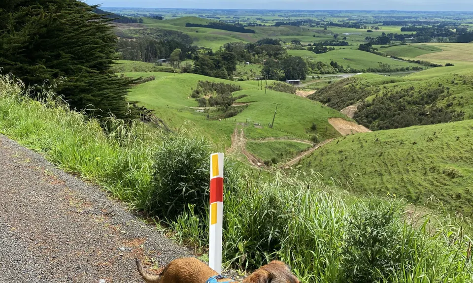 Dam Block Link, Manawatu - Wanganui