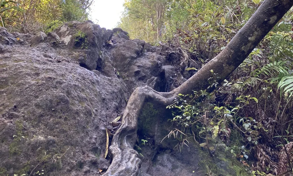Ruapane Leg Burner, Waikato