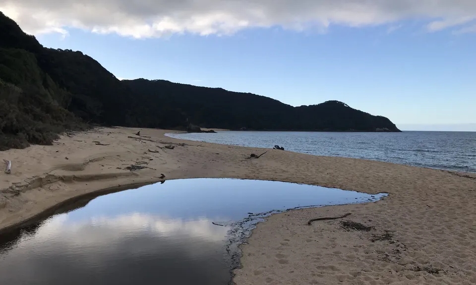 Gibbs Hill Loop, Tasman