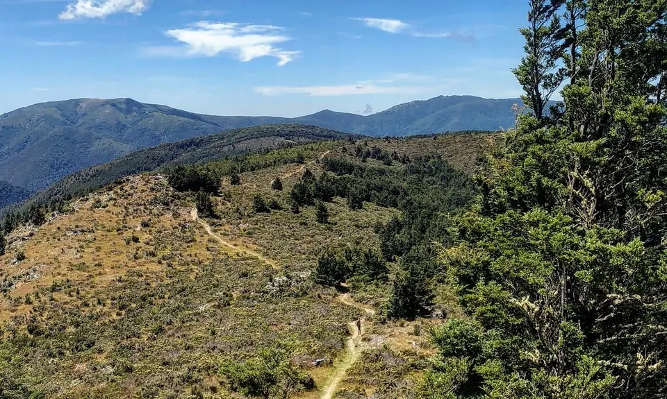 Mt Richardson Rippa, Canterbury
