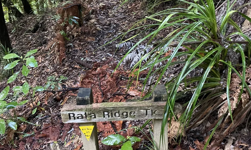 Rata Ridge - Hunua, Auckland