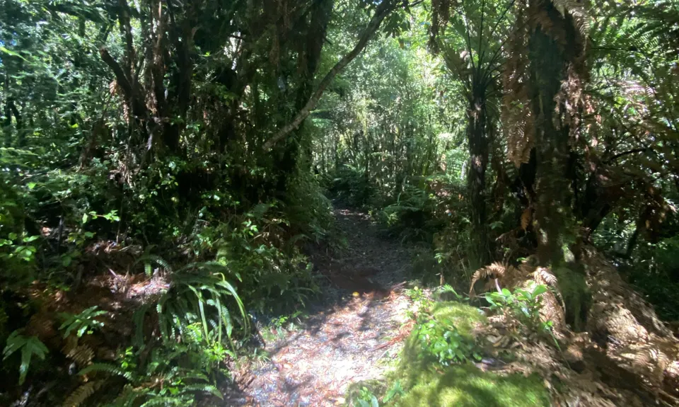 Tupapakurua Falls, Manawatu - Wanganui