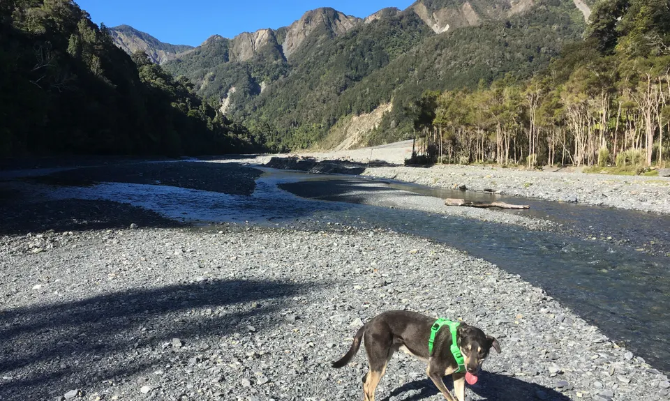 Where in the Whakanui?, Wellington