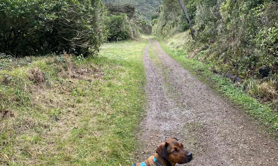 Rimutaka Incline, Wellington