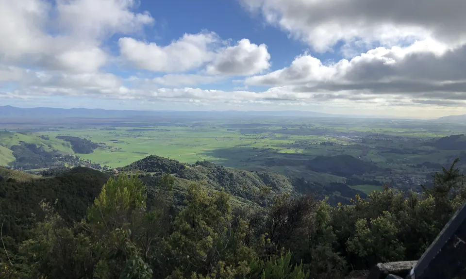 Karangahake Gold, Waikato