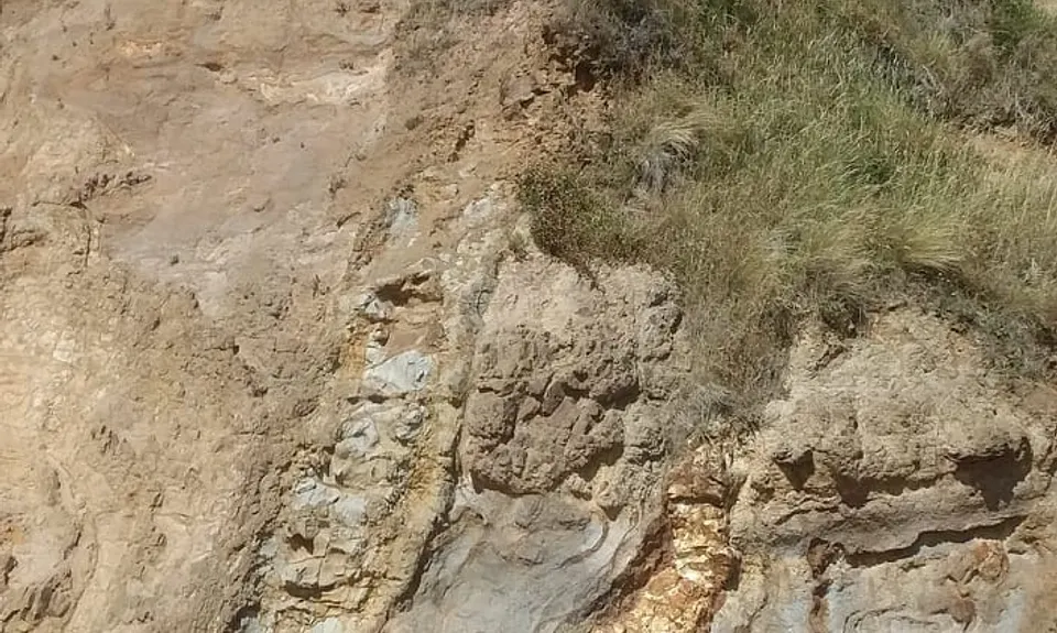 Onawe Plug, Canterbury