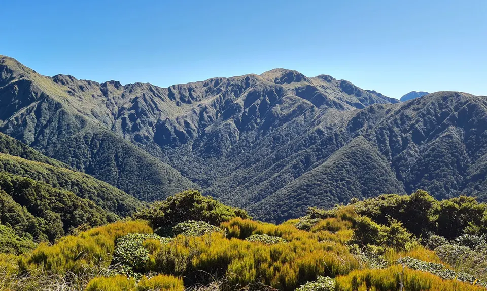 Jumbo - Holdsworth Circuit, Wellington