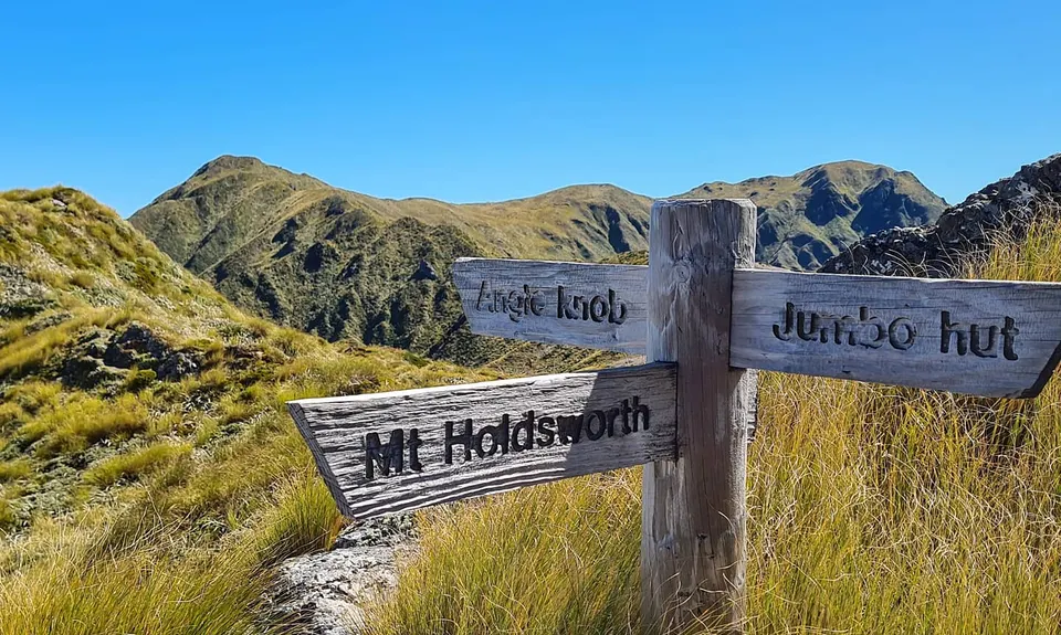 Jumbo - Holdsworth Circuit, Wellington