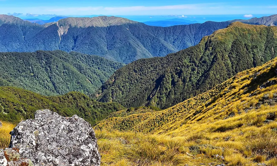 Jumbo - Holdsworth Circuit, Wellington