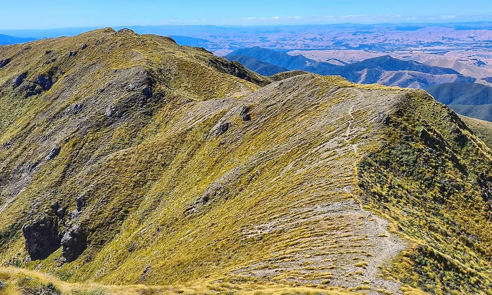 Jumbo - Holdsworth Circuit, Wellington