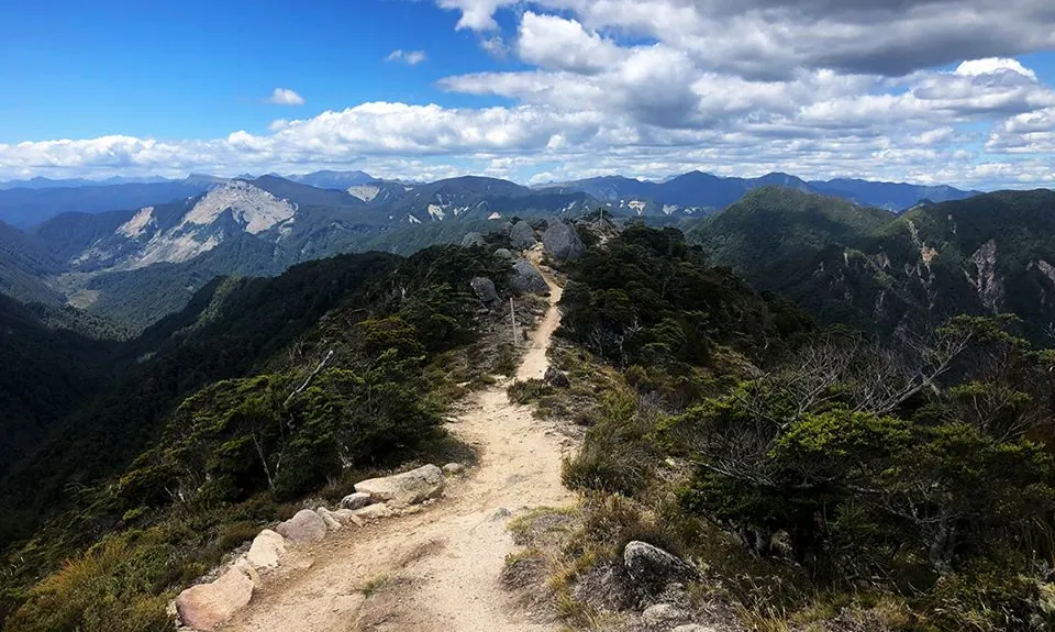 The Old Ghost Road - From Lyell to Stern Valley, West Coast