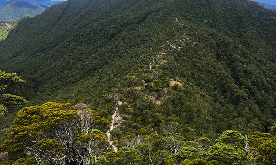 The Old Ghost Road - From Lyell to Stern Valley, West Coast